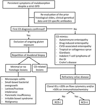 Refractory celiac disease and its mimickers: a review on pathogenesis, clinical-pathological features and therapeutic challenges